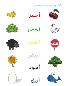 Curriculum Page